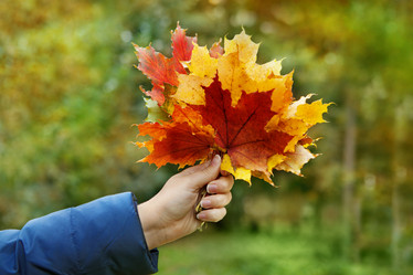 Similar image 7056121