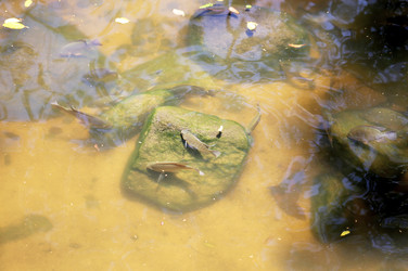 Similar image 7057138