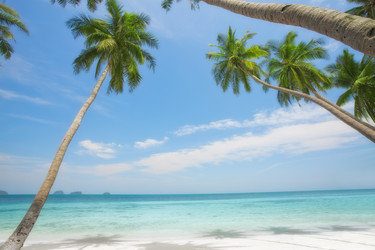 Similar image 7057620