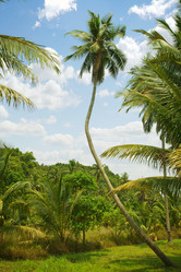 Similar image 7057707