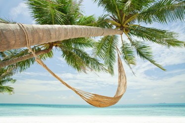 Similar image 7058271