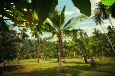 Similar image 7058335