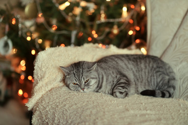 Similar image 7059136