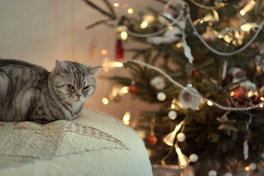 Similar image 7059144