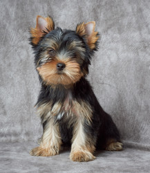 Similar image 7060422