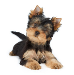 Similar image 7060424