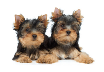 Similar image 7060426