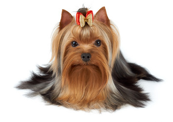 Similar image 7060428