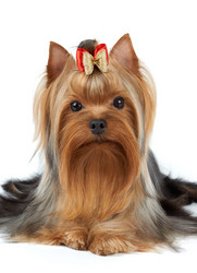 Similar image 7060429