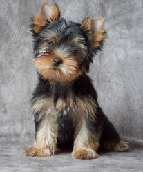 Similar image 7060431