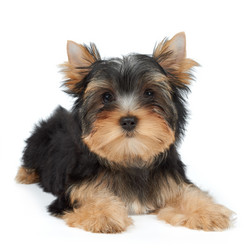 Similar image 7060437