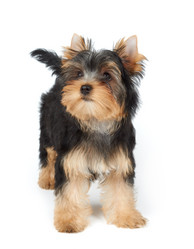 Similar image 7060440