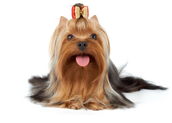 Similar image 7060441