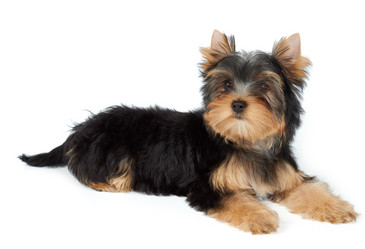 Similar image 7060442