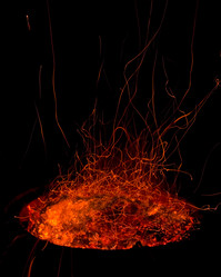 Similar image 7060504