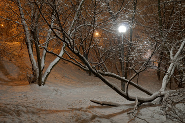 Similar image 7060510