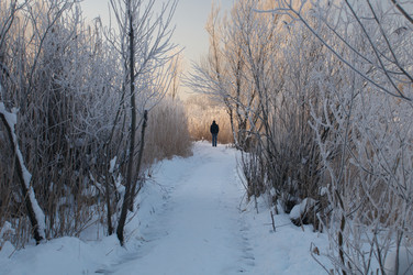 Similar image 7060514