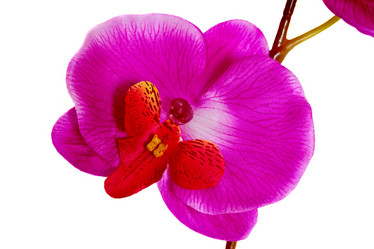 Similar image 7065264