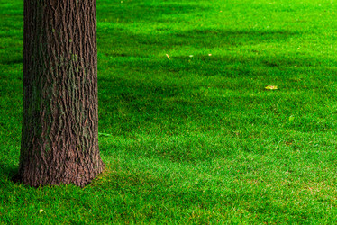 Similar image 7065345