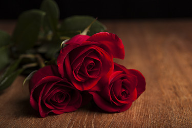 Similar image 7072551