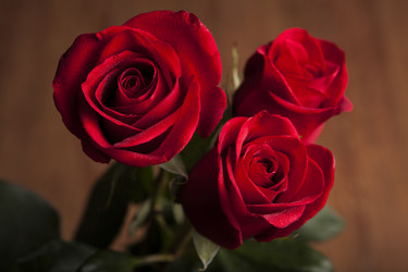 Similar image 7072553