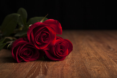 Similar image 7072561