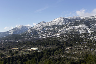 Similar image 7073920