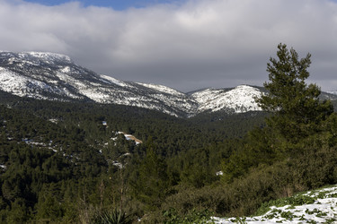 Similar image 7073926