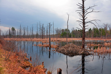 Similar image 7074004