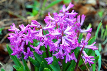 Similar image 7074011