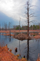 Similar image 7074018