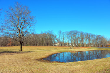 Similar image 7074034