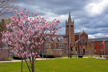 Similar image 7074079