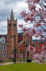 Similar image 7074081