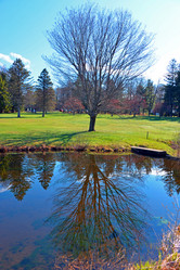 Similar image 7074087