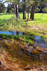 Similar image 7074092