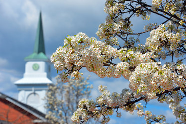 Similar image 7074098