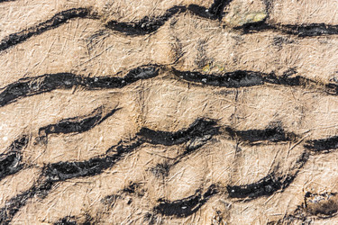 Similar image 7078185