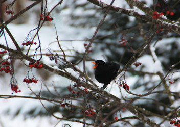 Similar image 7092561