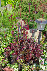 Similar image 7095137