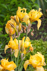 Similar image 7095140