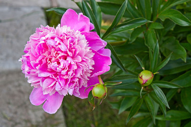 Similar image 7095143