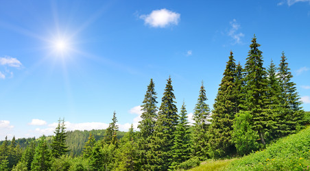 Similar image 7095152