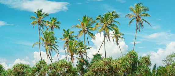 Similar image 7095155