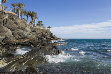 Similar image 7095209