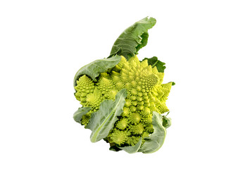 Similar image 7095541