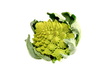 Similar image 7095542