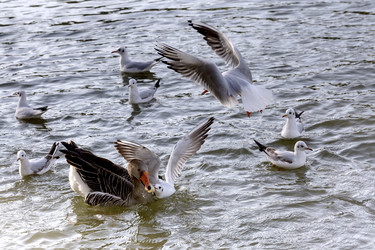 Similar image 7095945