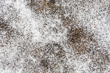 Similar image 7095964