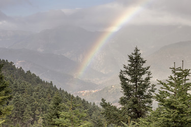 Similar image 7096604